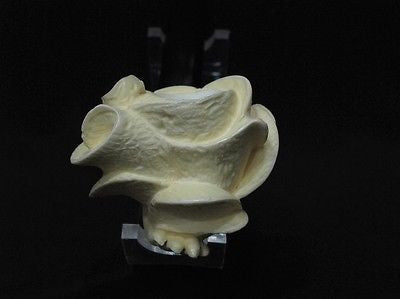 Rose in Lady Hand Smoking Block Meerschaum Pipe Hand carved Turkish pipes 6229